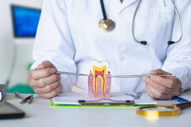 Best Emergency Broken Tooth Repair in Prospect, OH